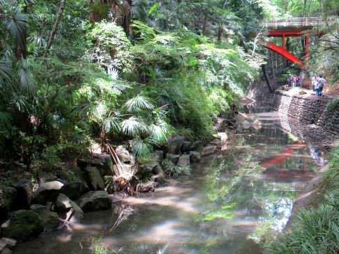 Todoroki: the lost art of keeping a secret | IKIMASHO!