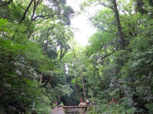 todoroki nature japan tokyo