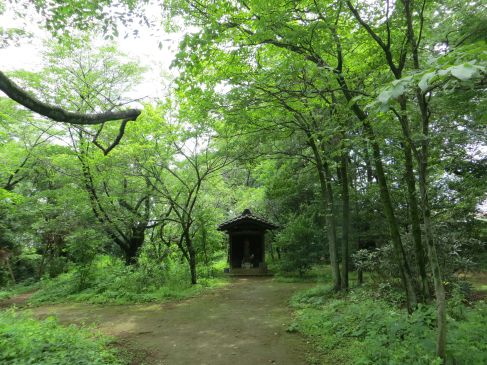 todoroki nature japan tokyo