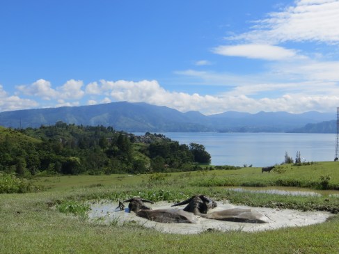 Lake toba sumatra