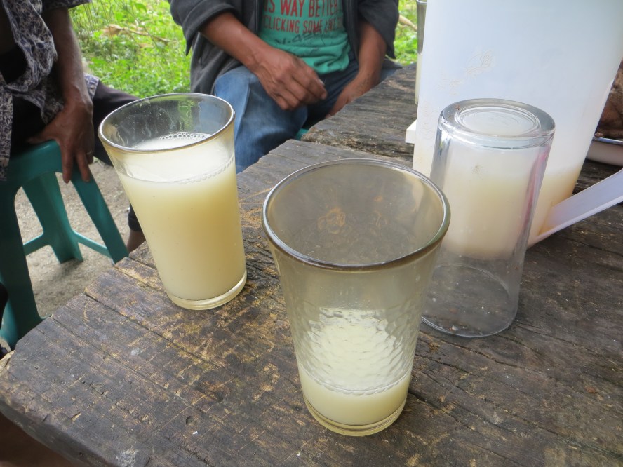 Indonesia Sumatra arak jungle juice