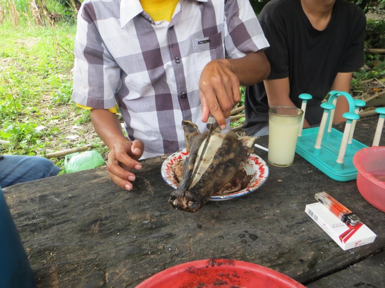 Indonesia Sumatra arak jungle juice
