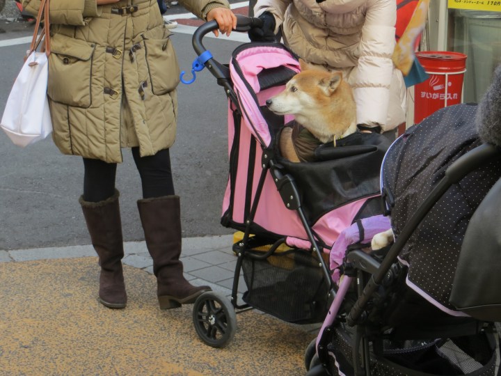 Yanaka tokyo dog pram