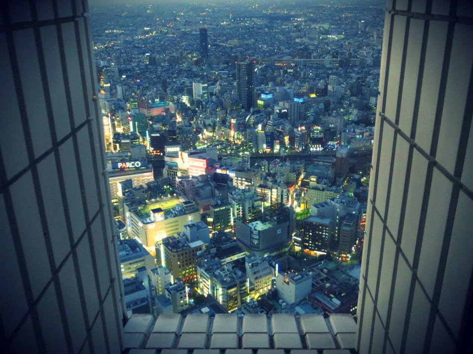 best night views tokyo