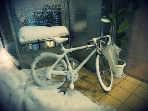 tokyo snow