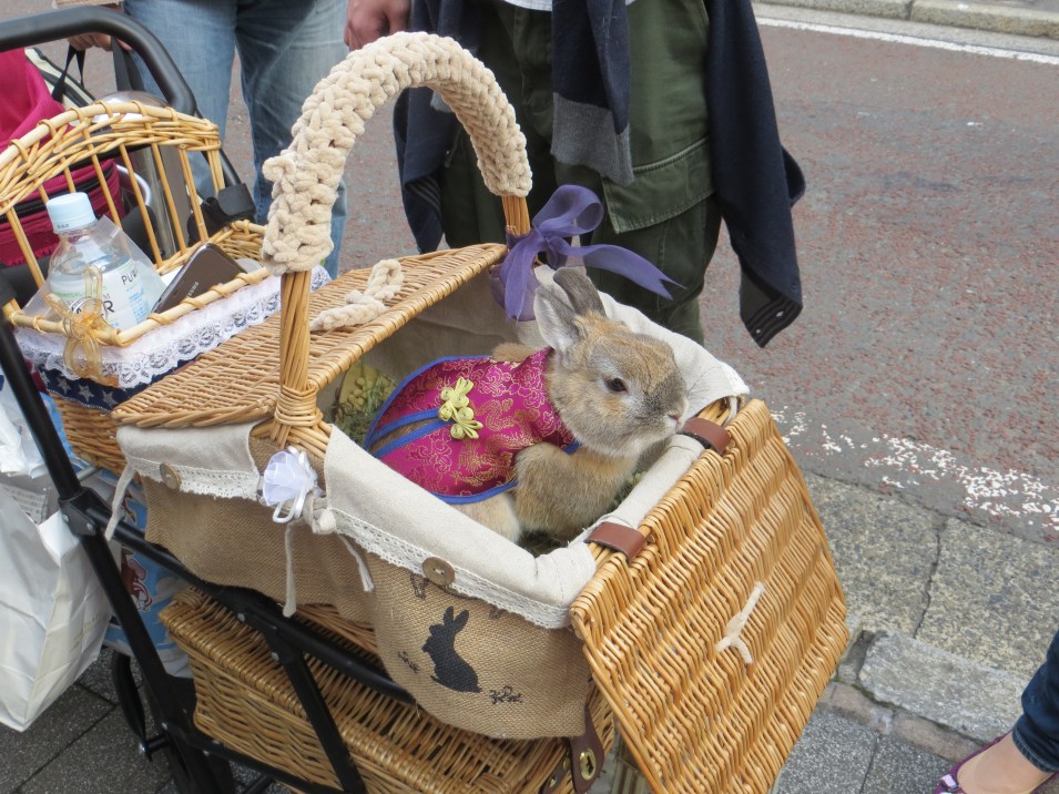 rabbits yokohama chinatown