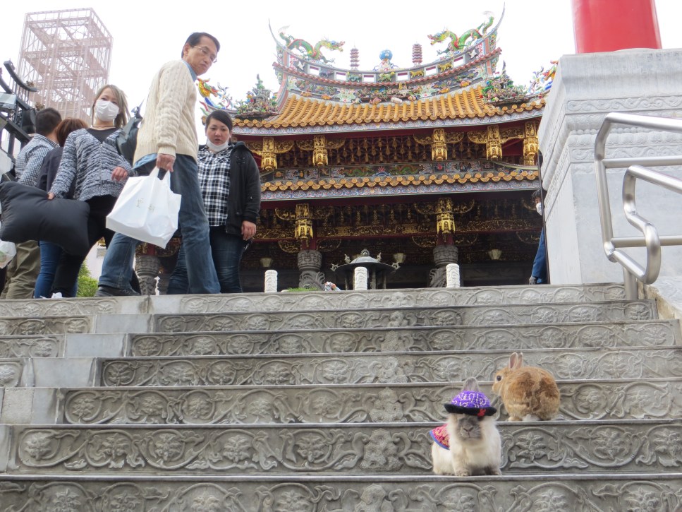 rabbits yokohama chinatown