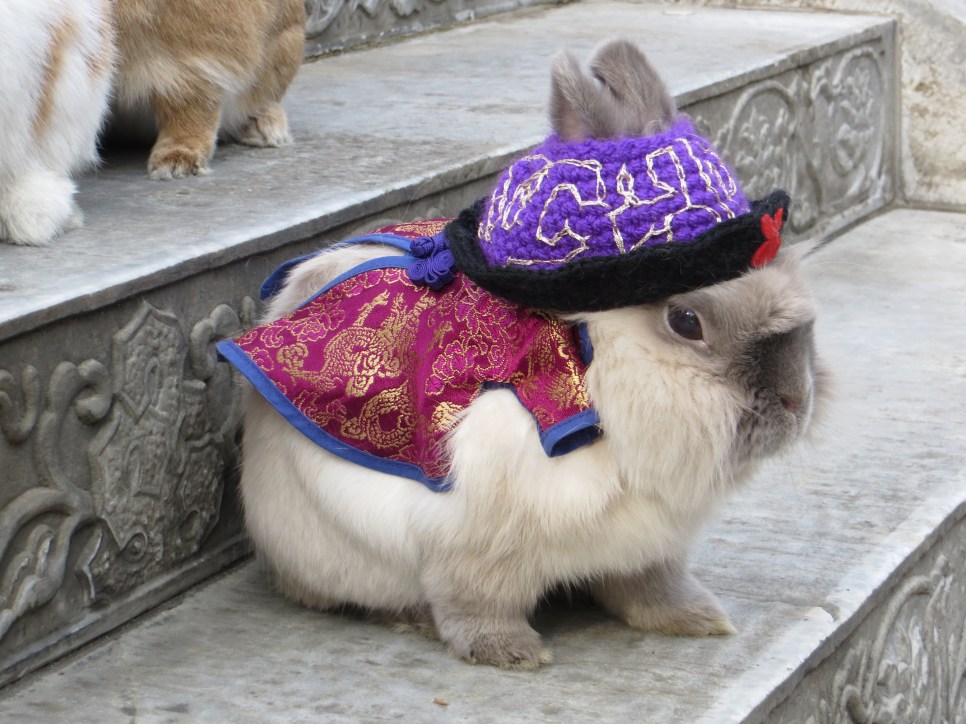 rabbits yokohama chinatown