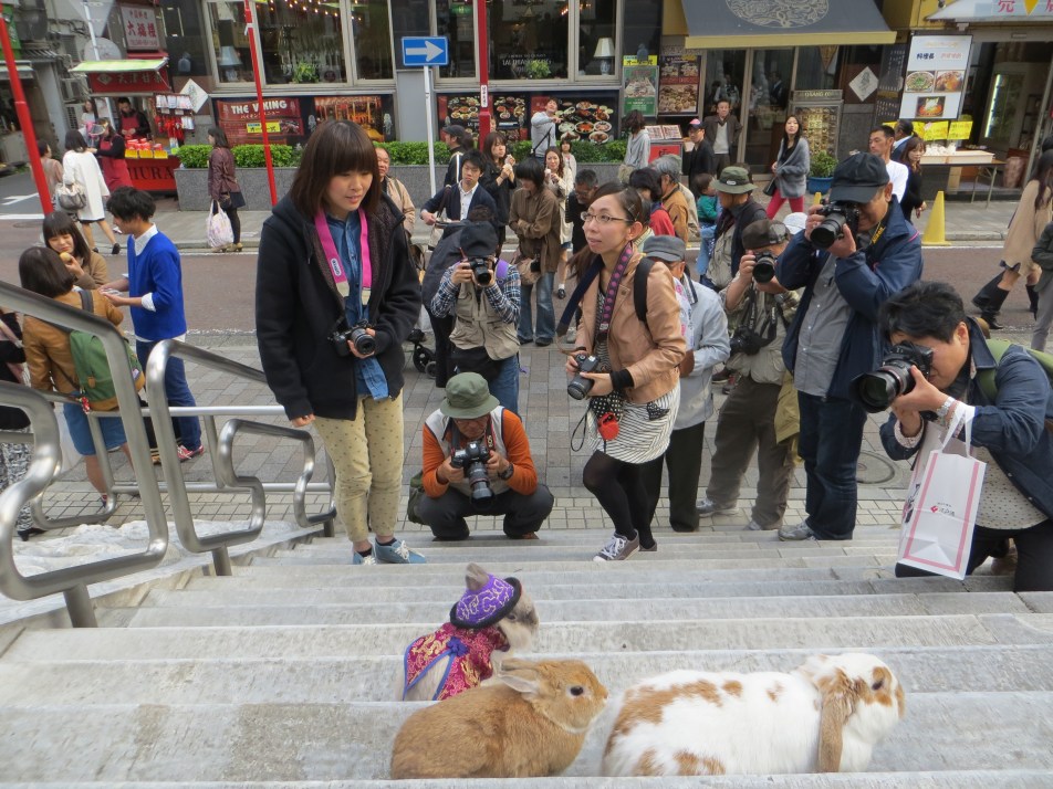 rabbits yokohama chinatown