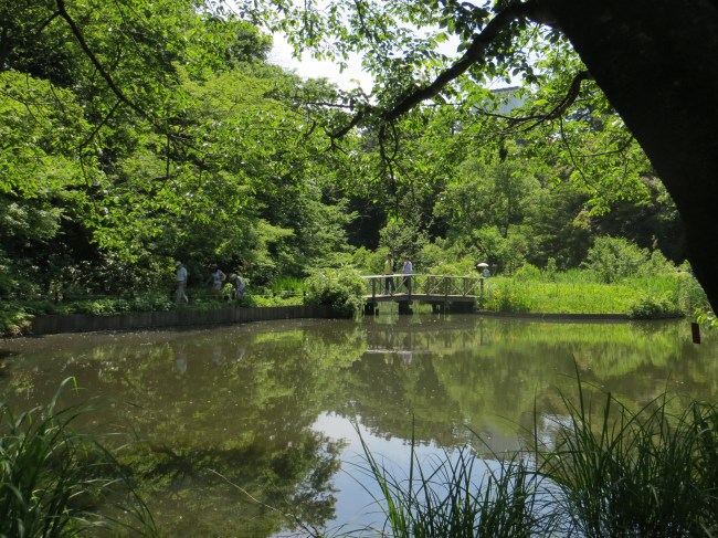 Institute for Nature Study, Tokyo