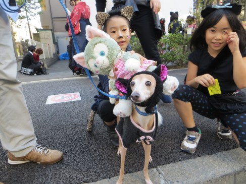 Kagurazaka Bakeneko Parade 