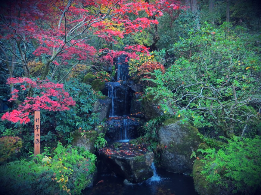 japan autumn leaves takao