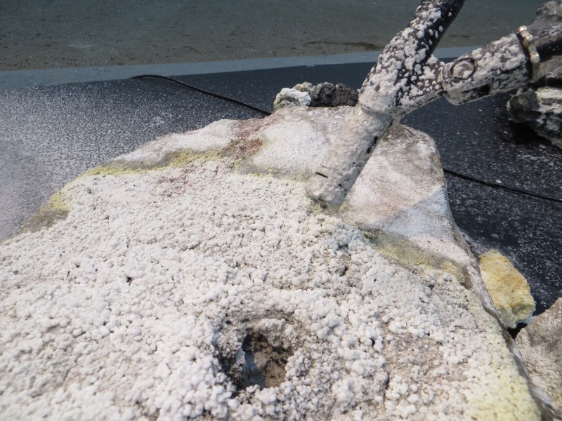 shun owada dissolution tokyo