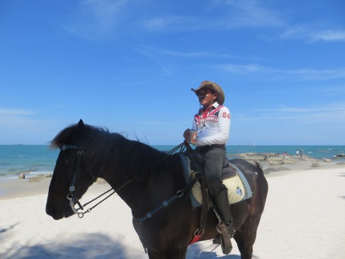 Hua Hin horse