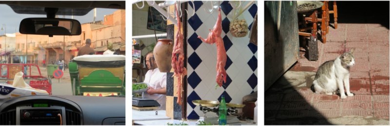 pizap.com14373982245631