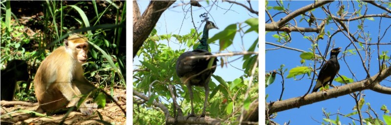 pizap.com14410191275991