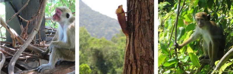 pizap.com14415426680932