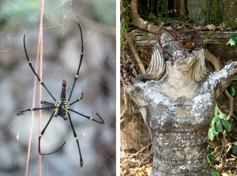 pizap.com14428231292011