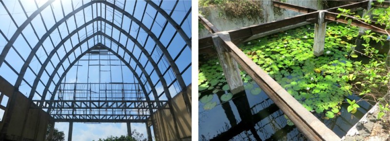 pizap.com14428236380345