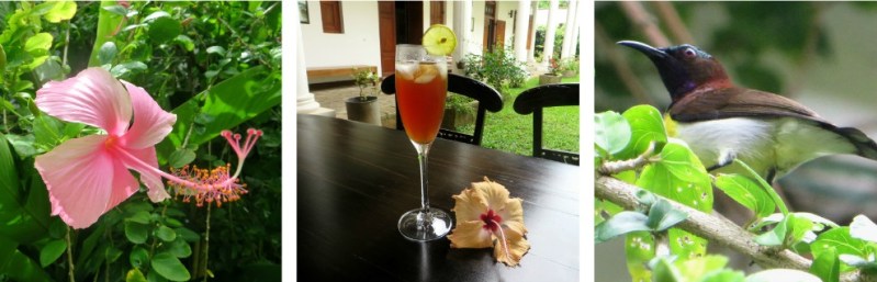 pizap.com14429877935222