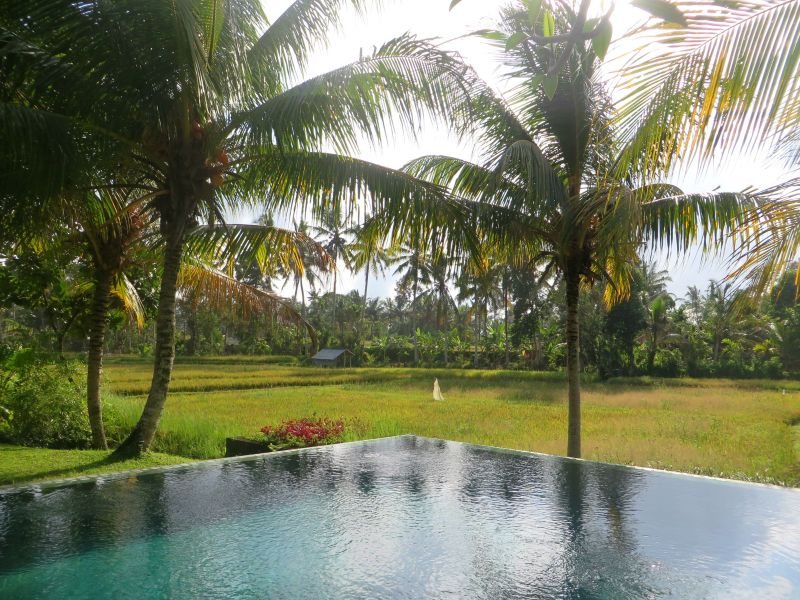 villa sabandari ubud