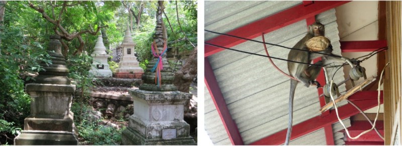 pizap.com14451712840991