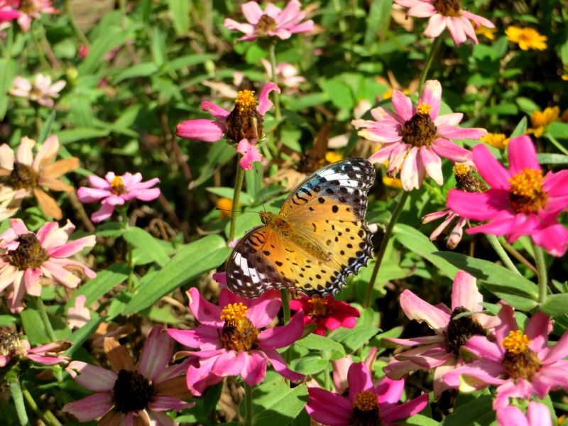 edo-tokyo-open-air-museum-3