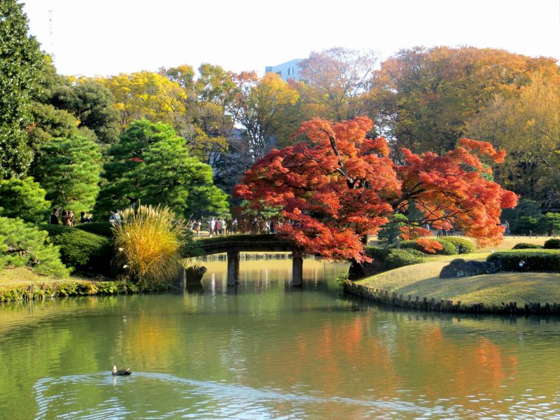 autumn-japan-ikimasho-10