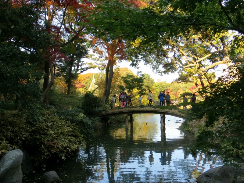 autumn-japan-ikimasho-12