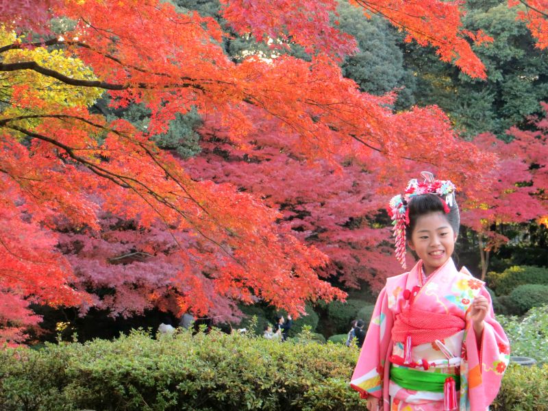 autumn-japan-ikimasho-14