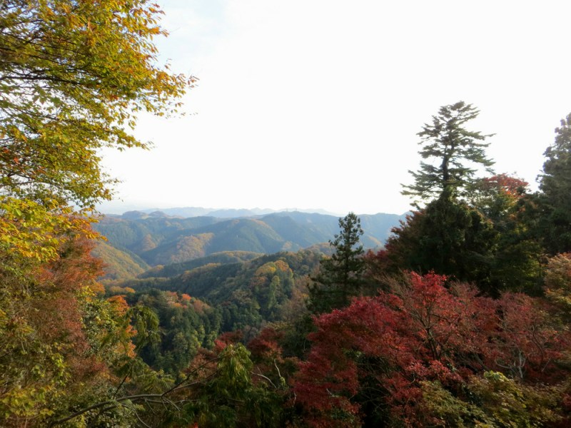 autumn-japan-ikimasho-6
