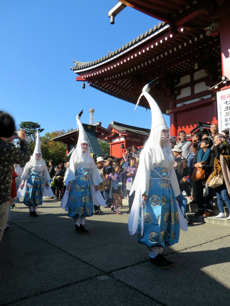 shirasagi-no-mai-white-heron-dance-17