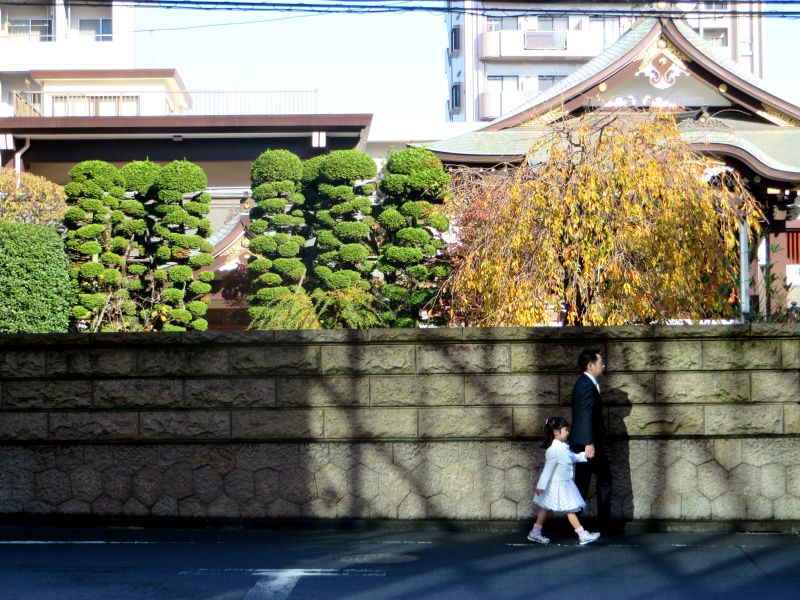 shichi-go-san-tokyo-2