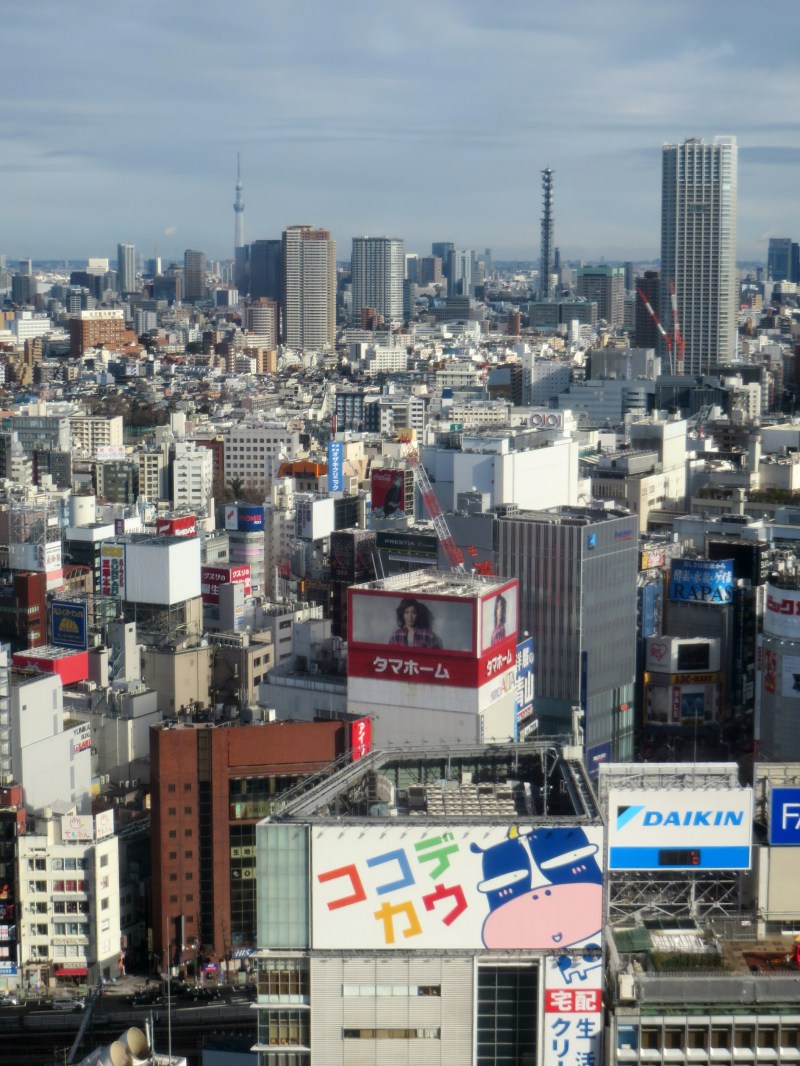 shinjuku-tokyo-skyline-observatory