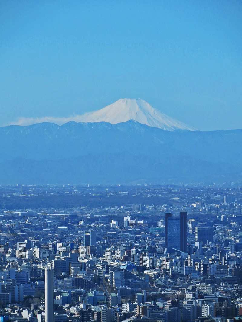 mount-fuji-mori-art-museum