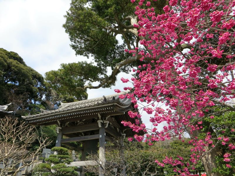 Enoden Enoshima Electric Railway Hase 5