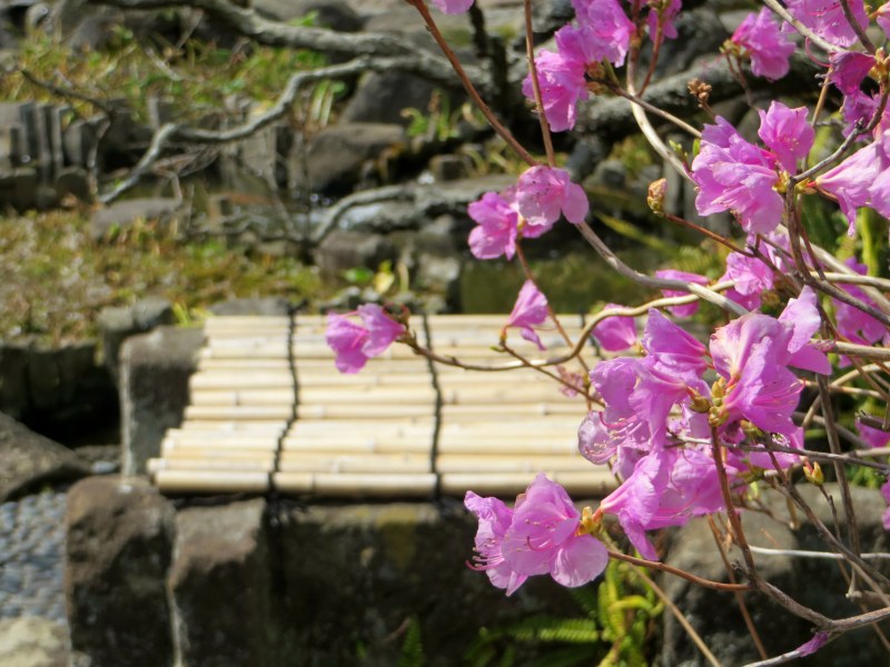 Enoden Enoshima Electric Railway Hase 6
