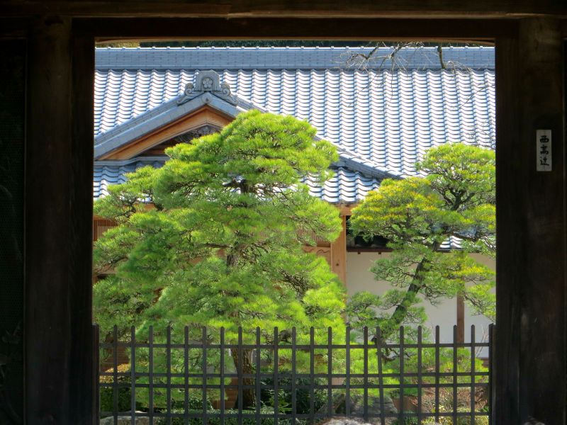 Dazaifu garden gate 2