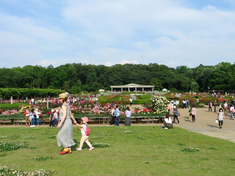 Jindaiji gardens