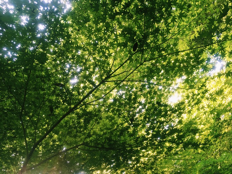 Processed with VSCO with c1 preset