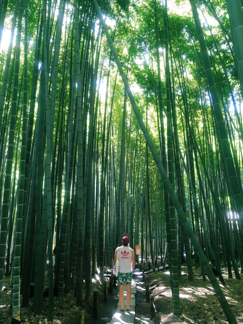 Processed with VSCO with c3 preset