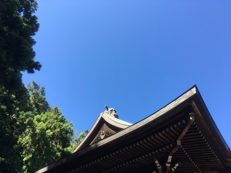 Hokokuji Bamboo Kamakura 5