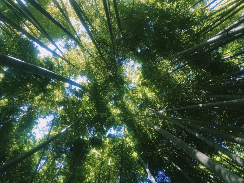 Processed with VSCO with c6 preset