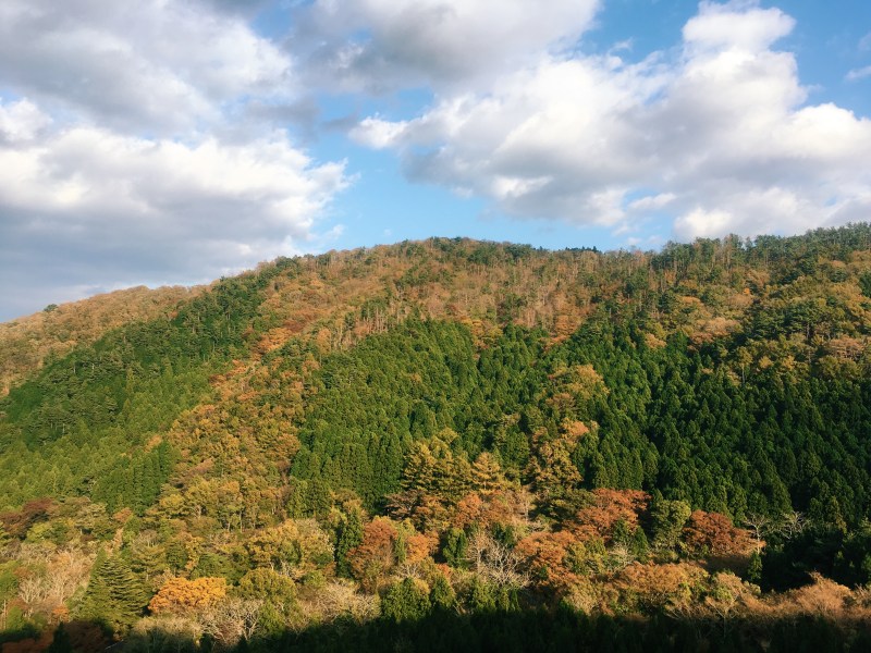 Processed with VSCO with c3 preset