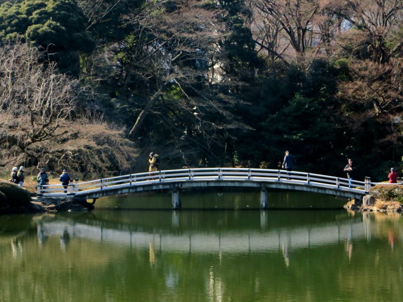 Shinjuku gyoen winter 3