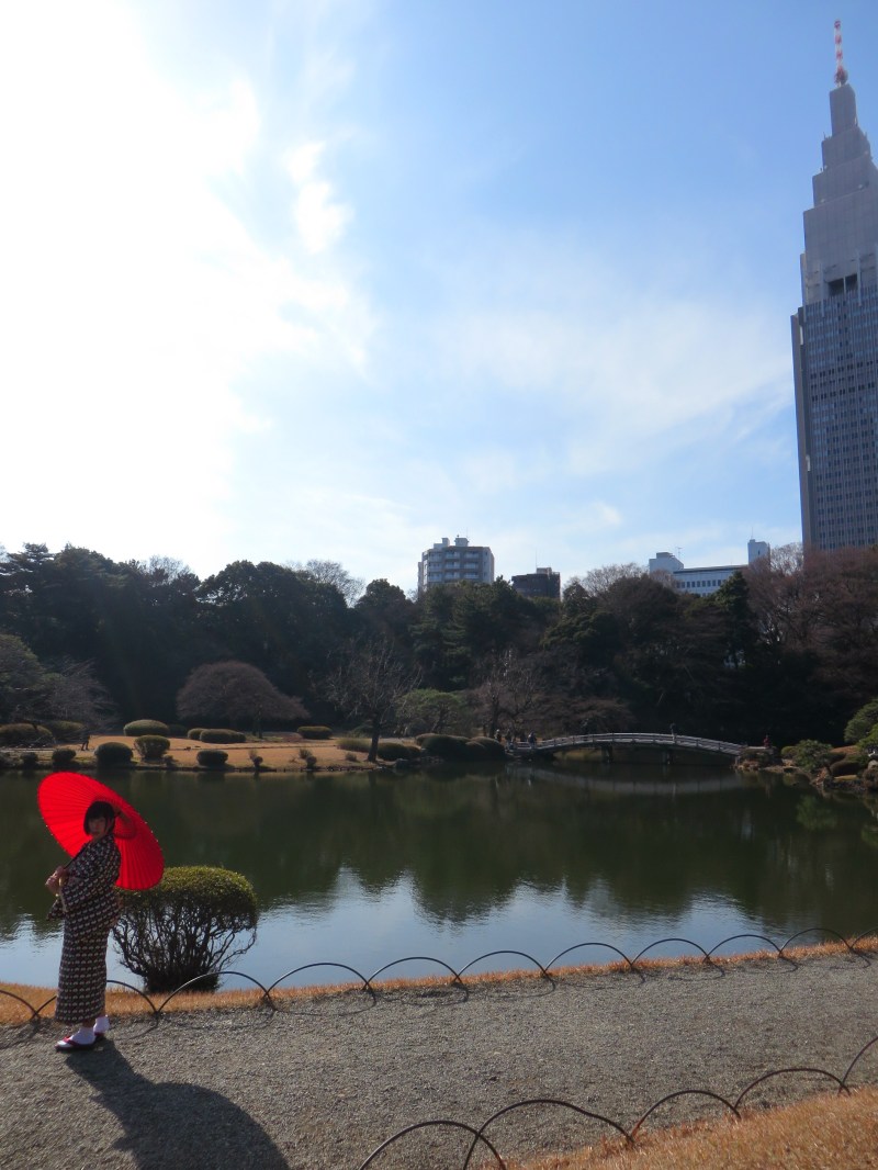 Shinjuku gyoen winter 4