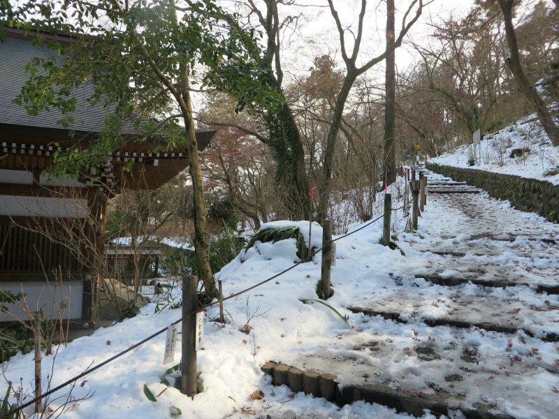Chigosan Gyoretsu Parade Takahatafudo Kongo-ji 19