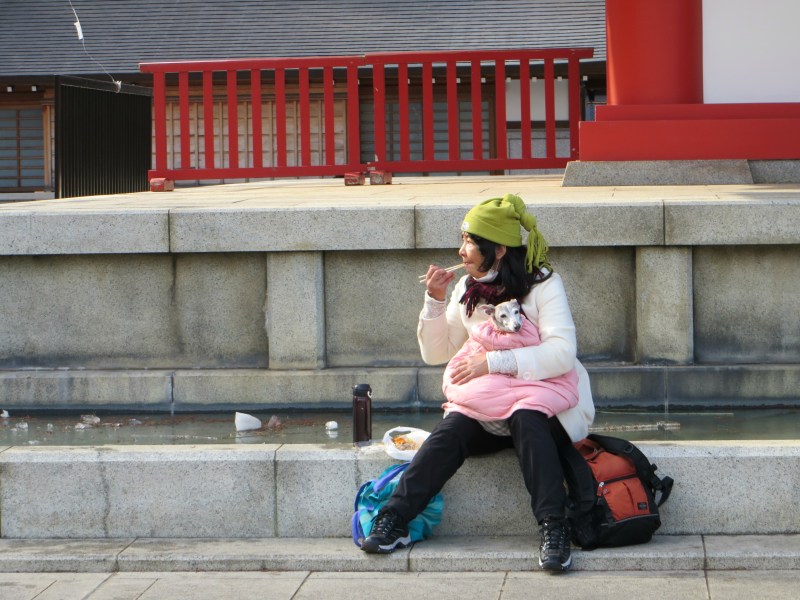 Chigosan Gyoretsu Parade Takahatafudo Kongo-ji 24