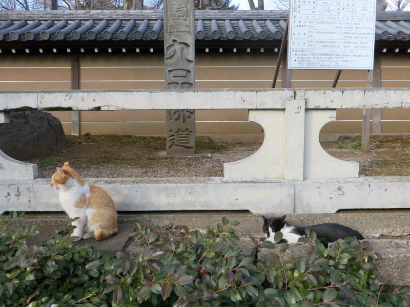 Kuhonbutsu Joshinji Temple, Tokyo 7