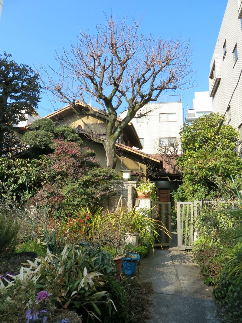 Oyamadai house Tokyo